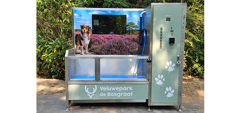 Dogwash
