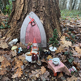 Kabouterbos