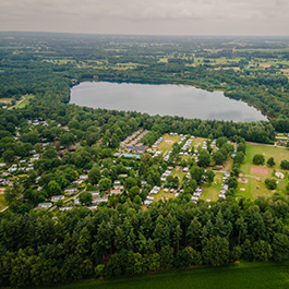 Dicht bij bossen