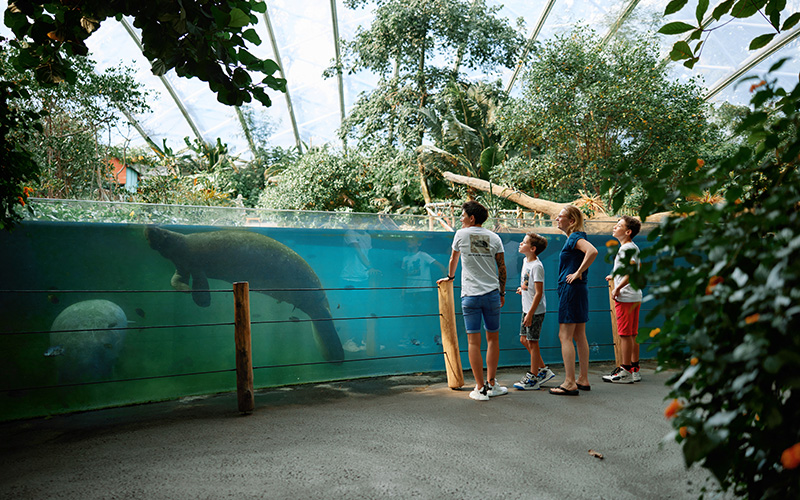 Burgers' Zoo