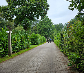 wandelpad
